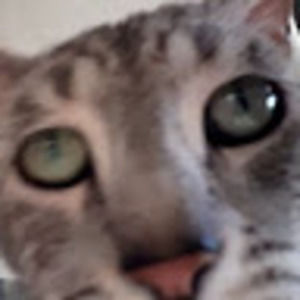 Meet your Posher, Sheyla